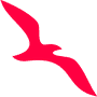 Most Active Airlines in United Arab Emirates 2