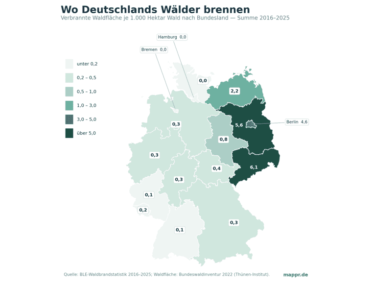 Choropleth-Karte Deutschlands: verbrannte Waldfläche je 1.000 Hektar Wald nach Bundesland, Summe 2016 bis 2025. Der Osten ist dunkel: Sachsen mit 6,1 und Brandenburg mit 5,6 Hektar je 1.000 Hektar Wald an der Spitze, dahinter Berlin mit 4,6 und Mecklenburg-Vorpommern mit 2,2. Der gesamte Westen und Süden liegt unter 0,5.