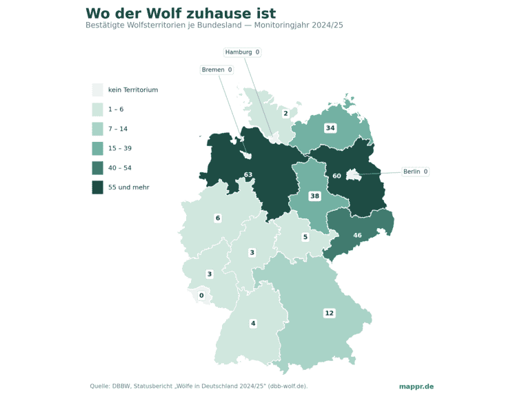 Choropleth-Karte Deutschlands: bestätigte Wolfsterritorien je Bundesland im Monitoringjahr 2024/25. Niedersachsen mit 63 und Brandenburg mit 60 an der Spitze, dann Sachsen 46, Sachsen-Anhalt 38 und Mecklenburg-Vorpommern 34; der gesamte Westen und Süden liegt im einstelligen Bereich oder bei null.