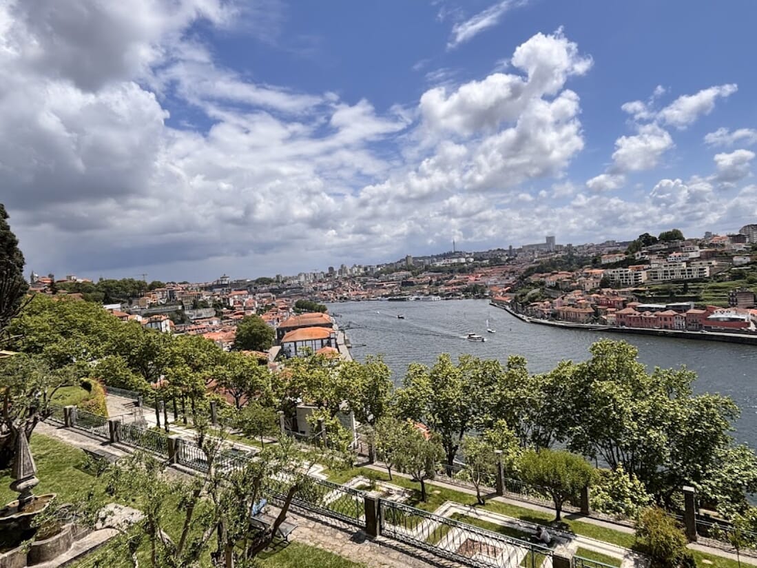 The Intricate Dance of Peacock Feathers