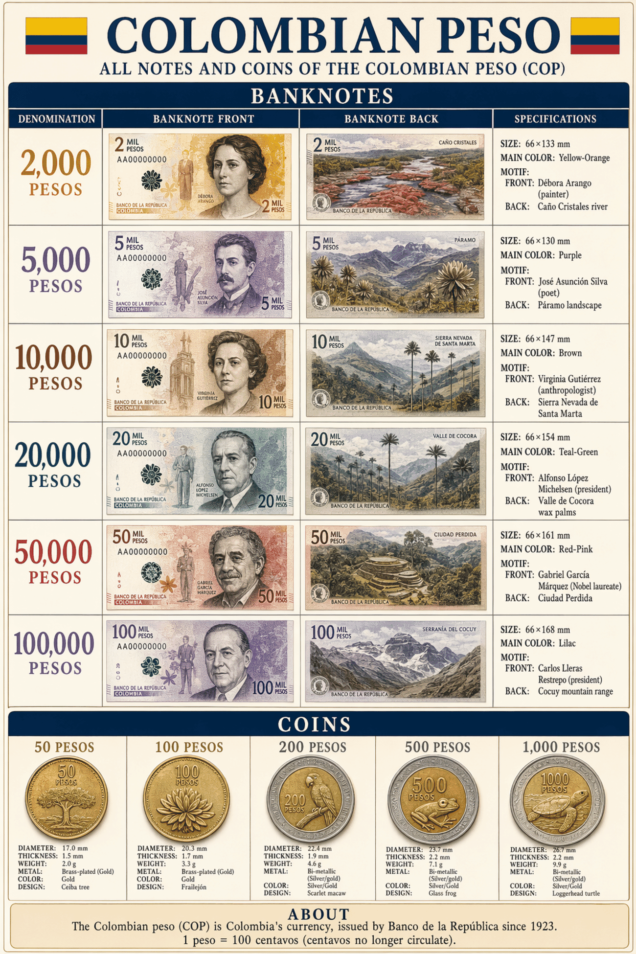 Detailed editorial infographic of all banknotes and coins of Colombian Peso (COP) — Currency of Colombia in 2026, showing each denomination's front, back, size, main color and motif, plus all circulating coins with their physical specifications. Portrait layout, editorial magazine style.