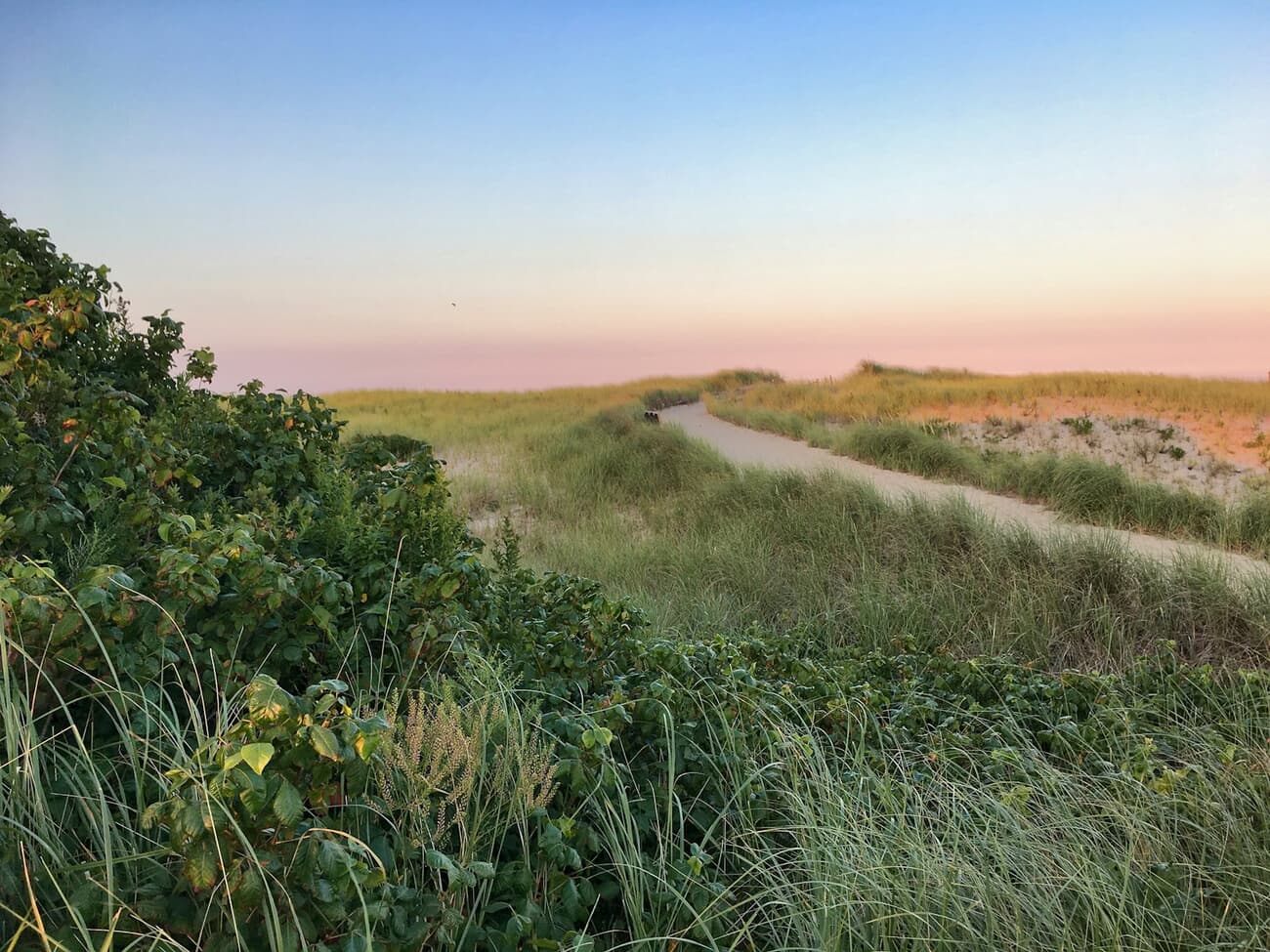 Sandy path through dune grass to the beach on Cape Cod, Massachusetts