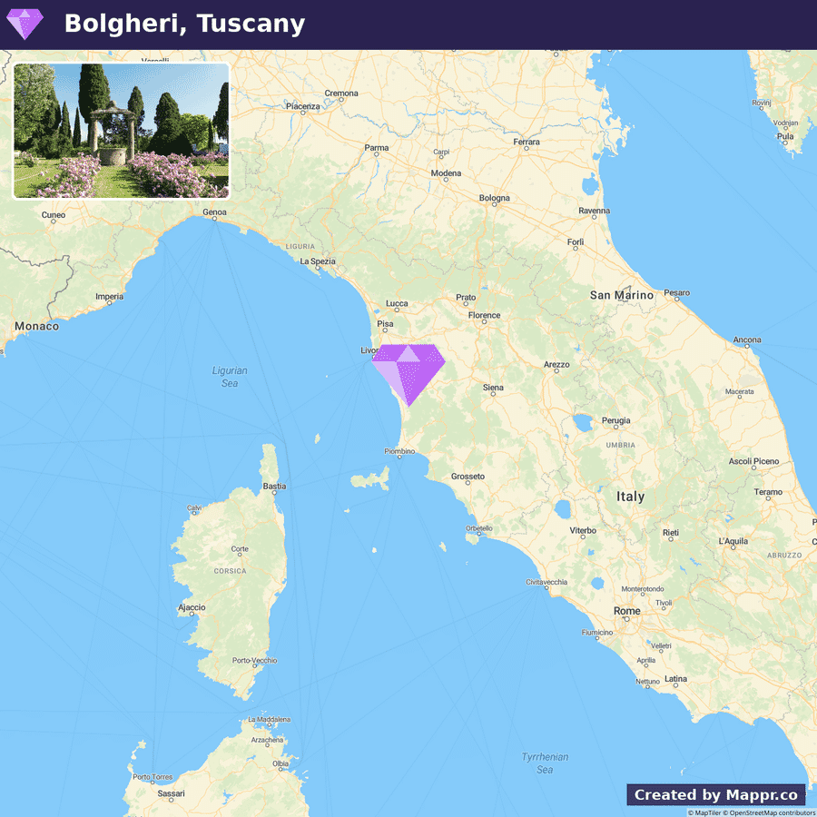 A map highlighting the location of Bolgheri in Tuscany, Italy, with a small photograph of a pathway lined with flowers leading to a tall cypress tree next to the map label.