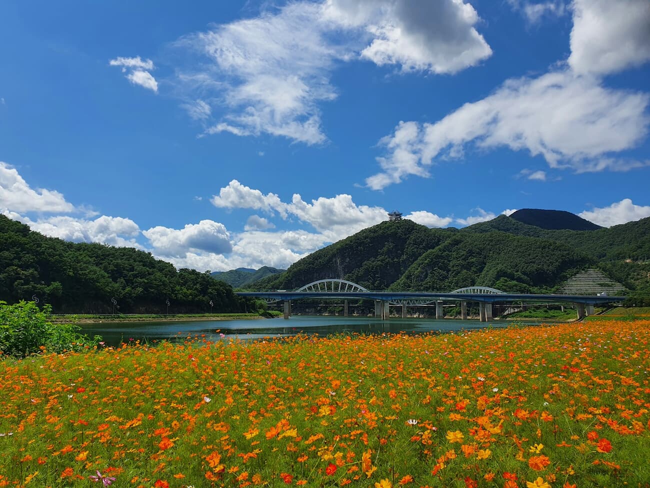 Danyang, Chungcheongbuk-do