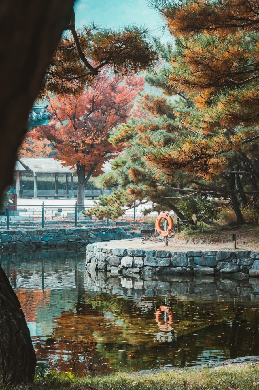 A serene autumnal scene featuring a tranquil pond surrounded by trees with varying shades of red and