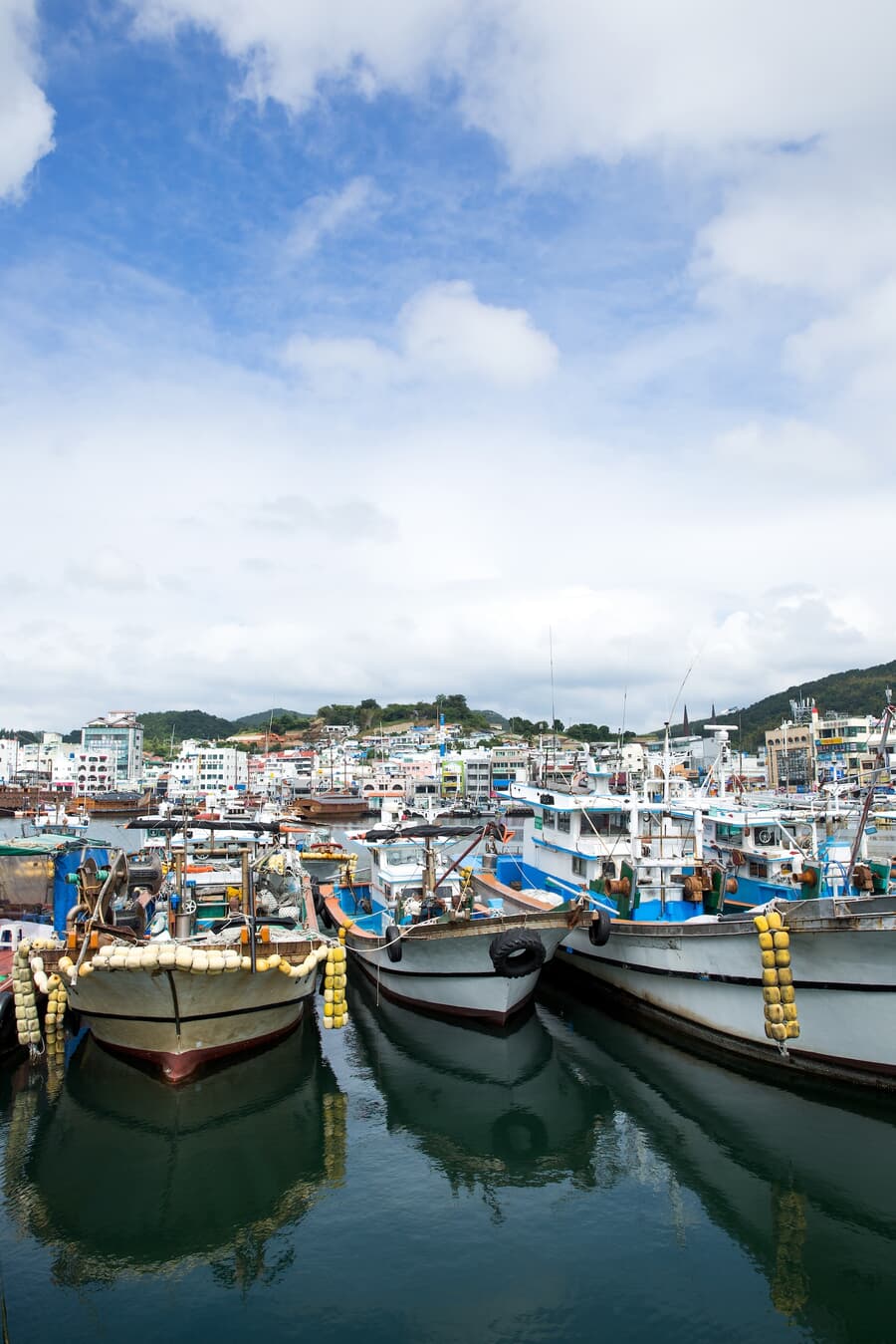 A busy fishing port with numerous moored boats against a background of a coastal town and a partly c