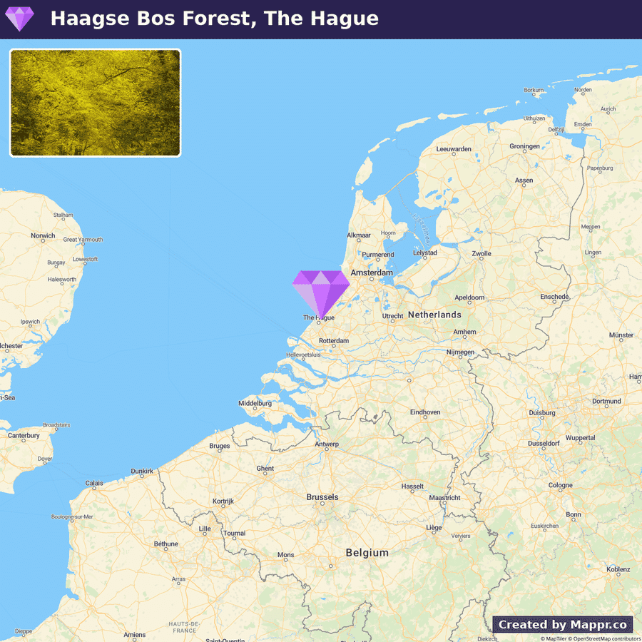 A map showing the Netherlands with a pin on The Hague and a marked area for Haagse Bos Forest, accompanied by an inset photo of a tree-lined path in the forest.