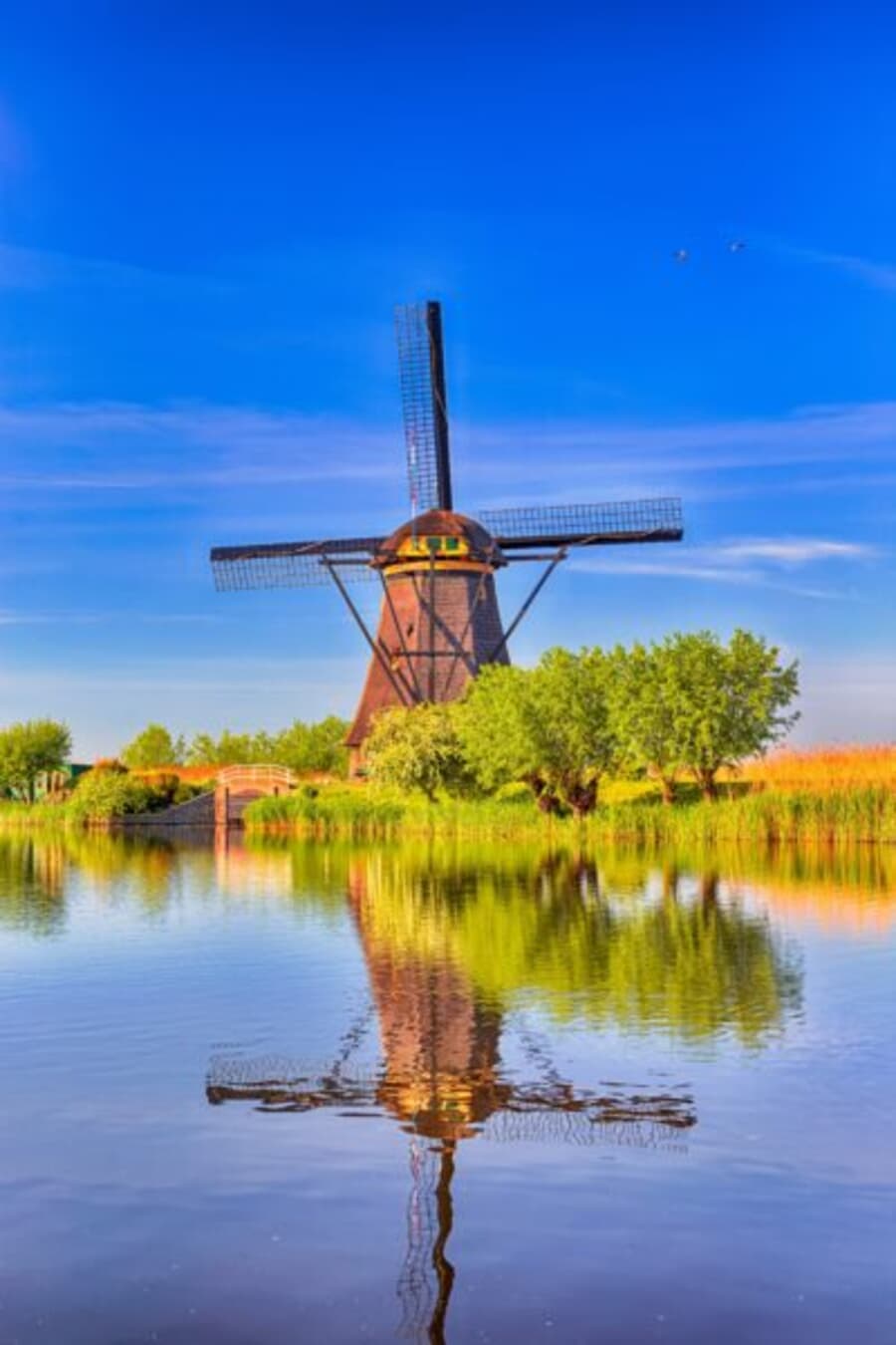 Traditional Dutch windmill in Kinderdijk