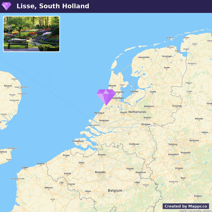 An inset image in the upper left corner shows a vibrant flower garden, while a larger map illustrates the location of Lisse in South Holland, marked with a purple pin, amidst the surrounding geography of the Netherlands and parts of Belgium.