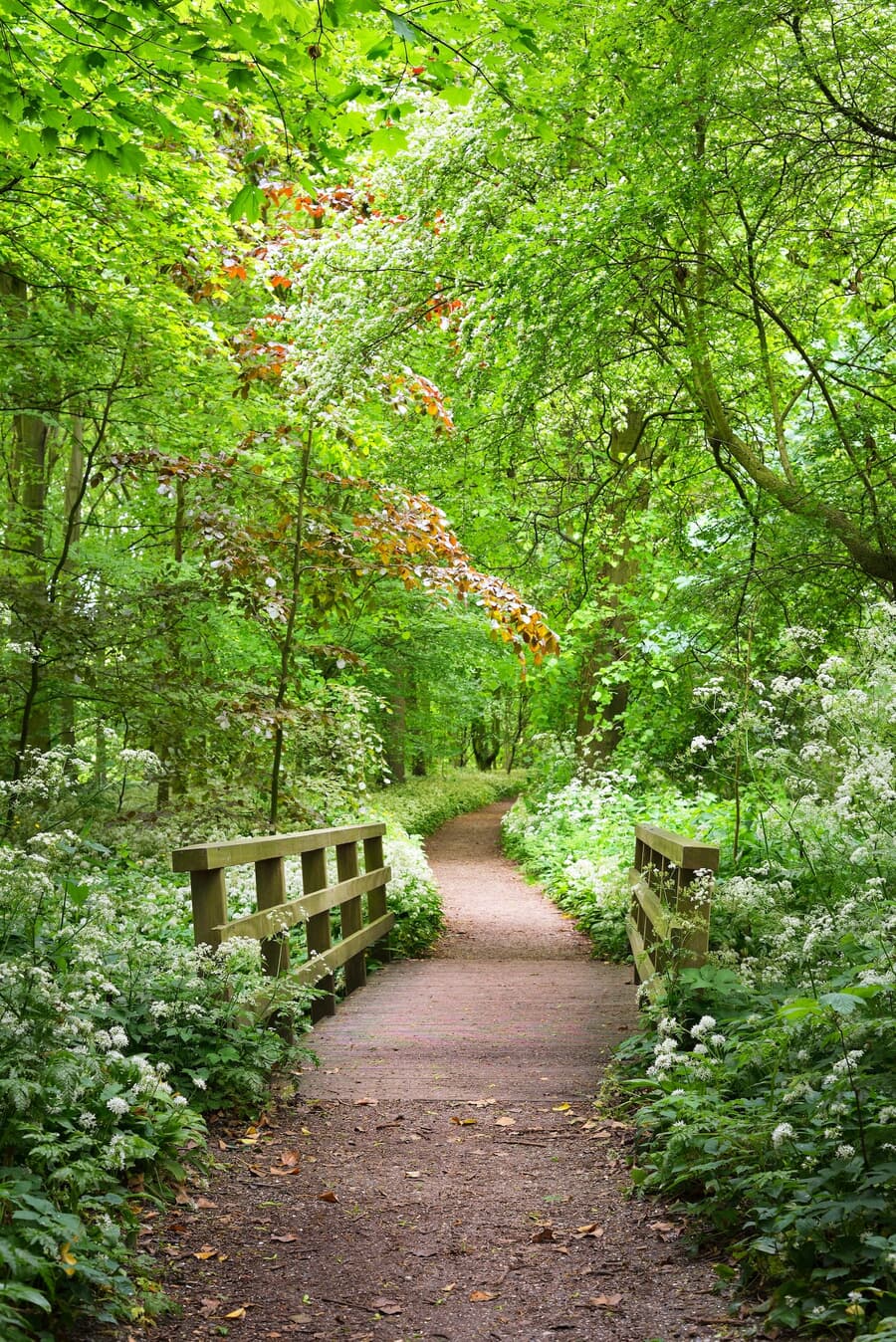 Stochemhoeve Park, a serene natural area perfect for leisurely walks and picnics