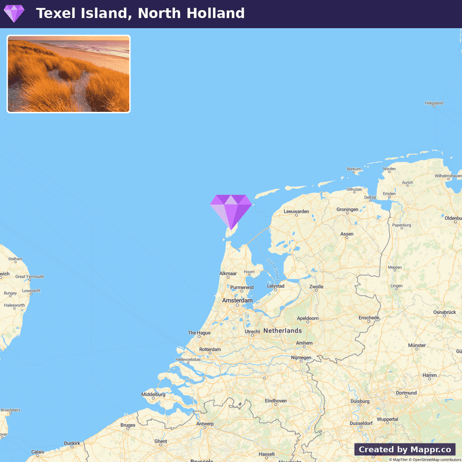 A map showing the location of Texel Island in North Holland, with a purple marker pointing to the island on a map of the Netherlands and surrounding areas. The top left corner features a photograph of a beach on Texel Island with tall grasses during sunset.