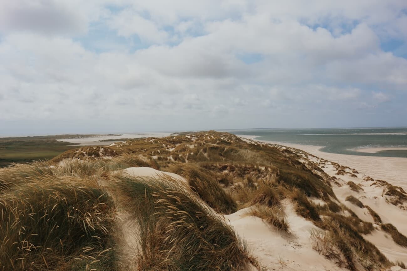 Sand dunes and beach houses on Vlieland, one of the Netherlands' Wadden islands.