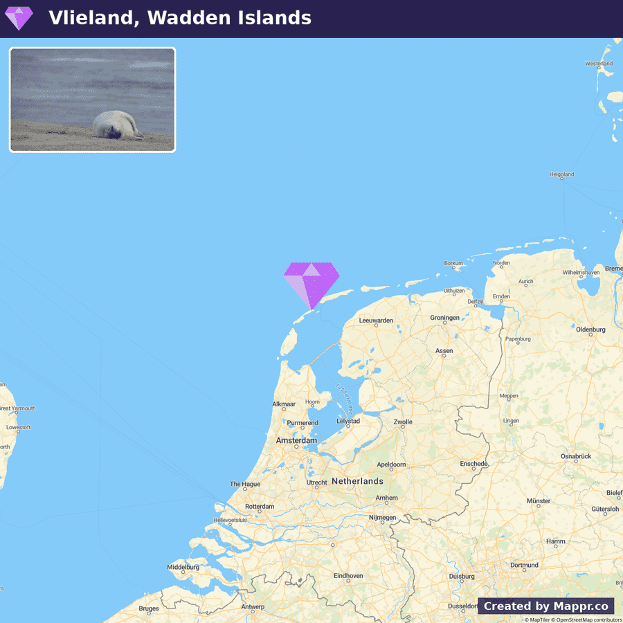 Locator map showing Vlieland, Wadden Islands.