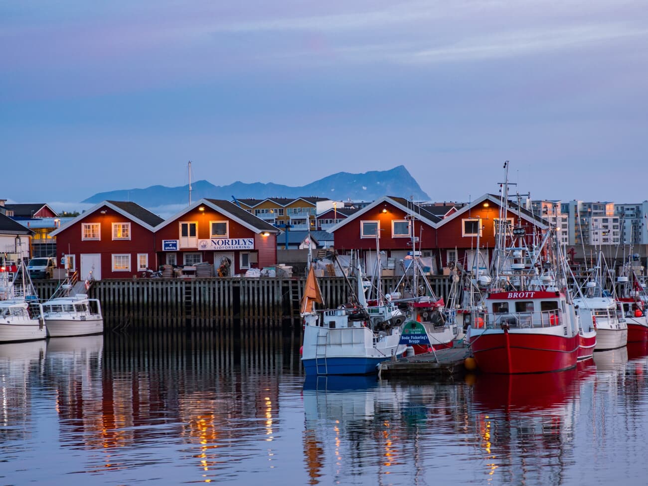 Bodø, a city above the Arctic Circle known for its sea eagles and natural phenomena