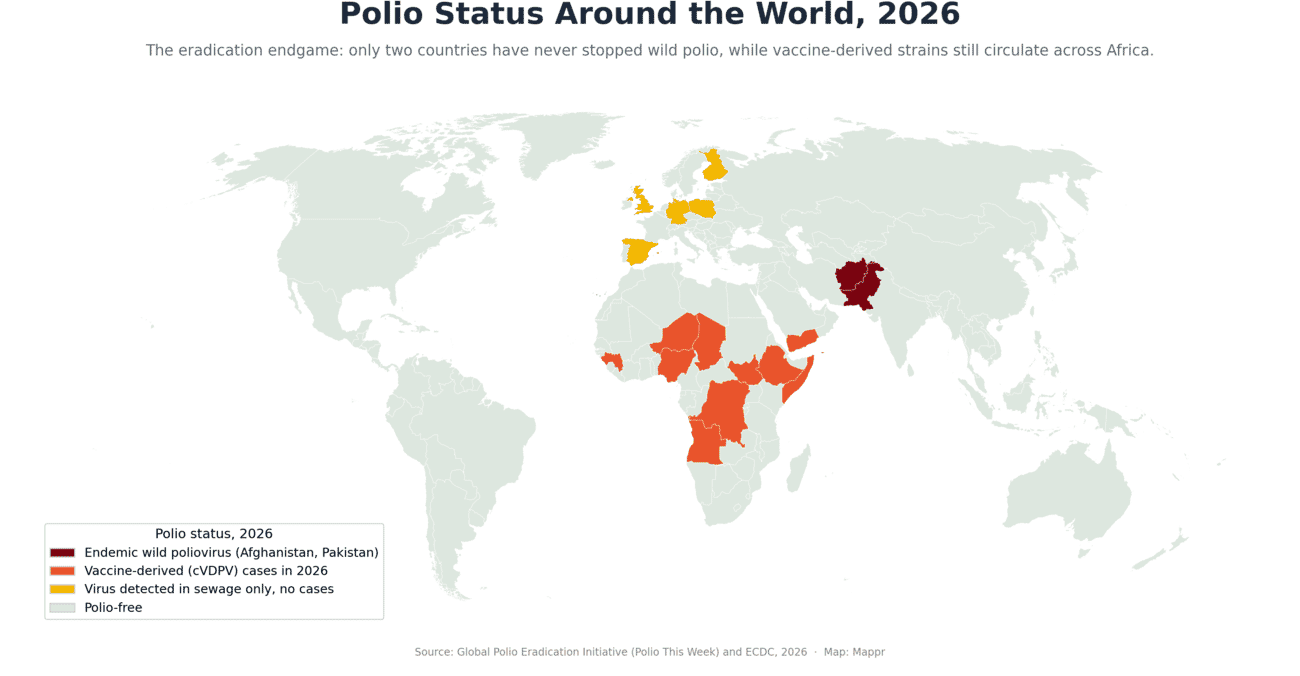 World map of polio status in 2026: Afghanistan and Pakistan shaded dark red as endemic for wild poliovirus, around ten African and Middle Eastern countries orange for vaccine-derived cases, and five European countries yellow for sewage detections only