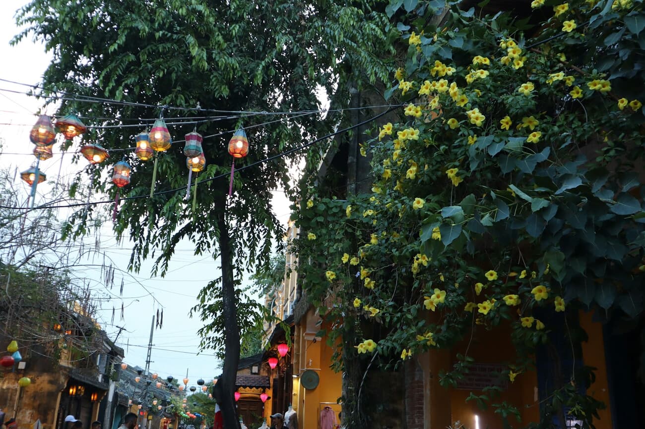 Silk lanterns glow over a narrow lane in Hoi An's UNESCO-listed Ancient Town at dusk.