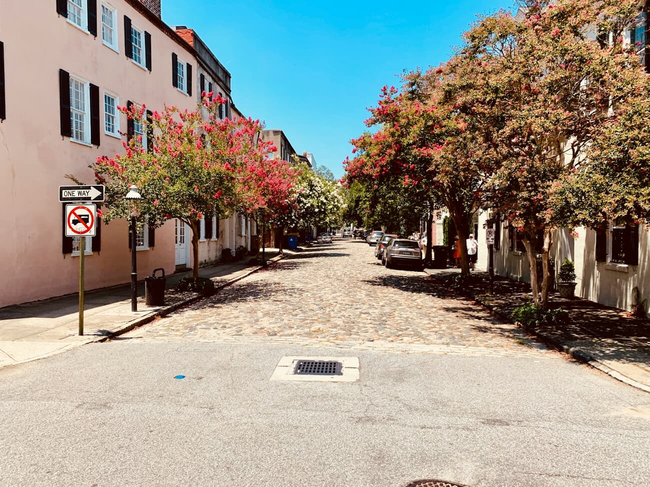 Spring blooms shade a quiet street of historic homes in downtown Charleston, South Carolina