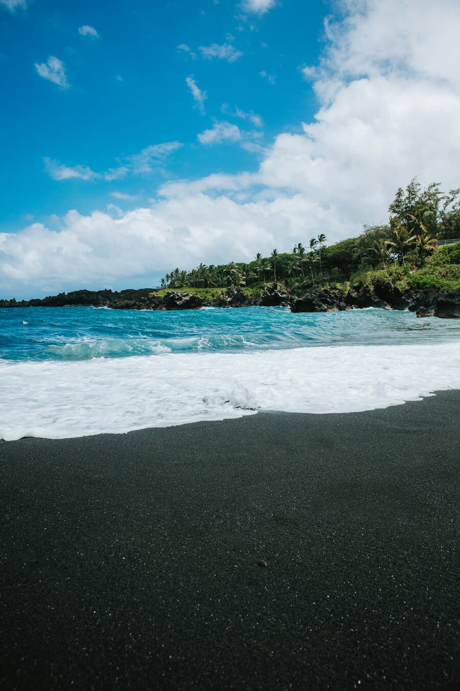 Palms lean over a black lava-sand cove on Maui's coast, one of the island's signature volcanic beaches