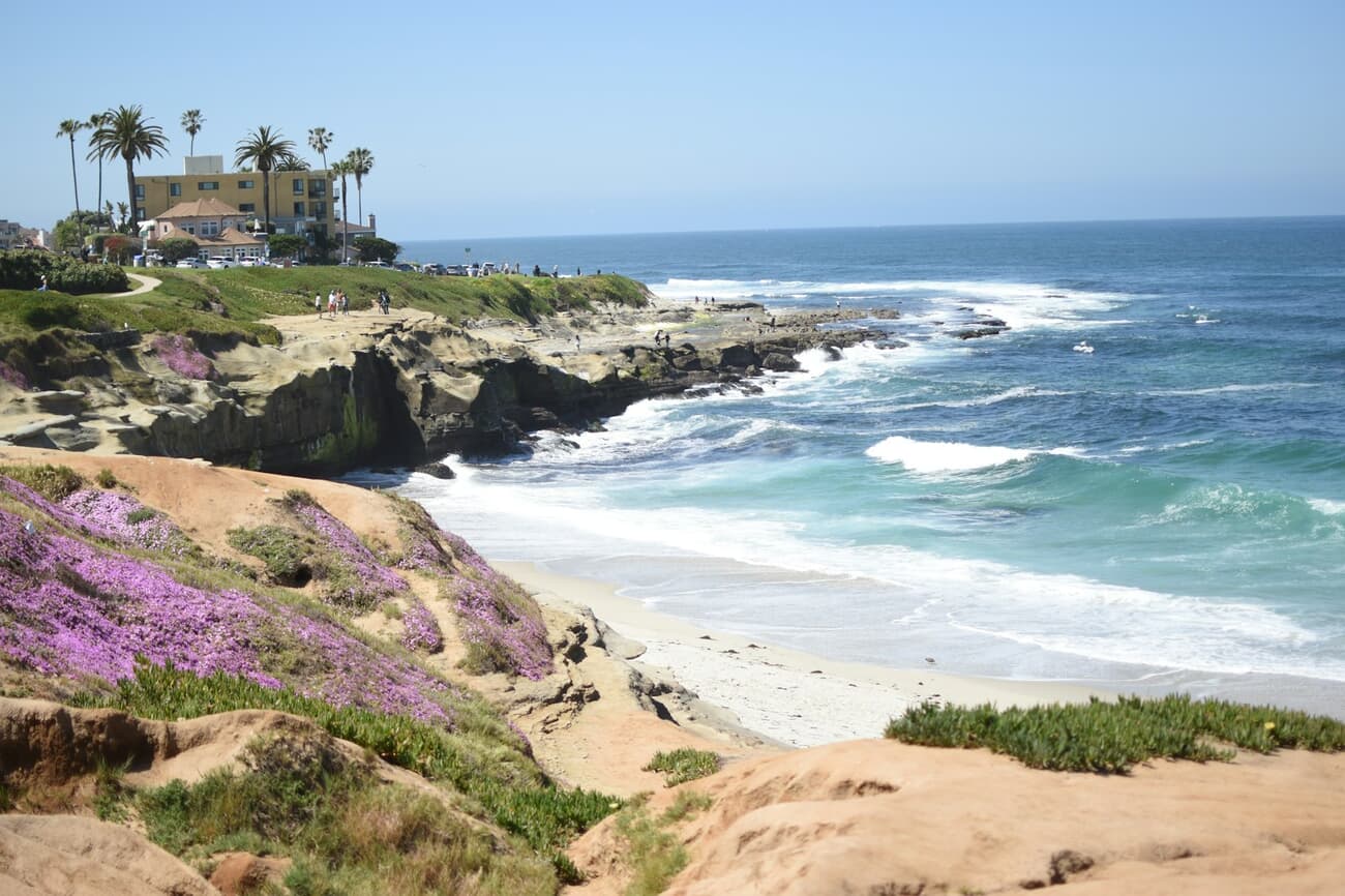 Palms and sandstone bluffs meet the Pacific at La Jolla in San Diego, California
