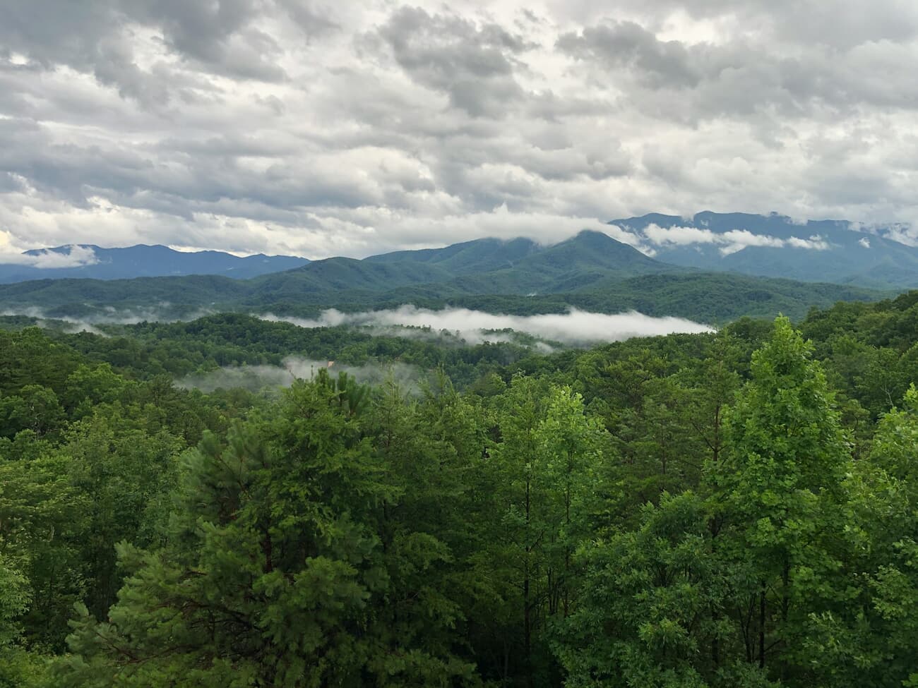 Low clouds drift through the green ridgelines of the Great Smoky Mountains