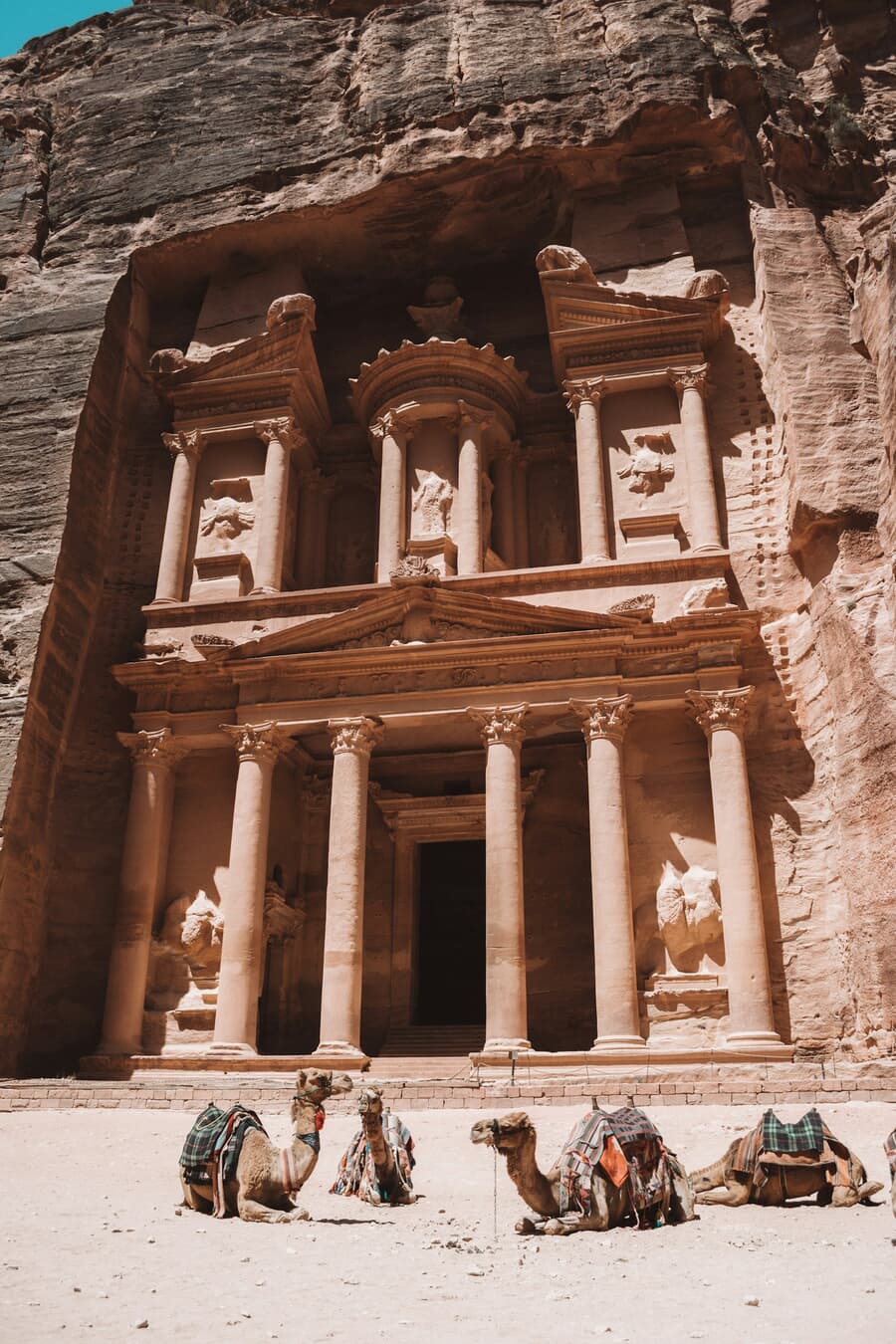 Camels rest before the carved facade of the Treasury in Petra, Jordan