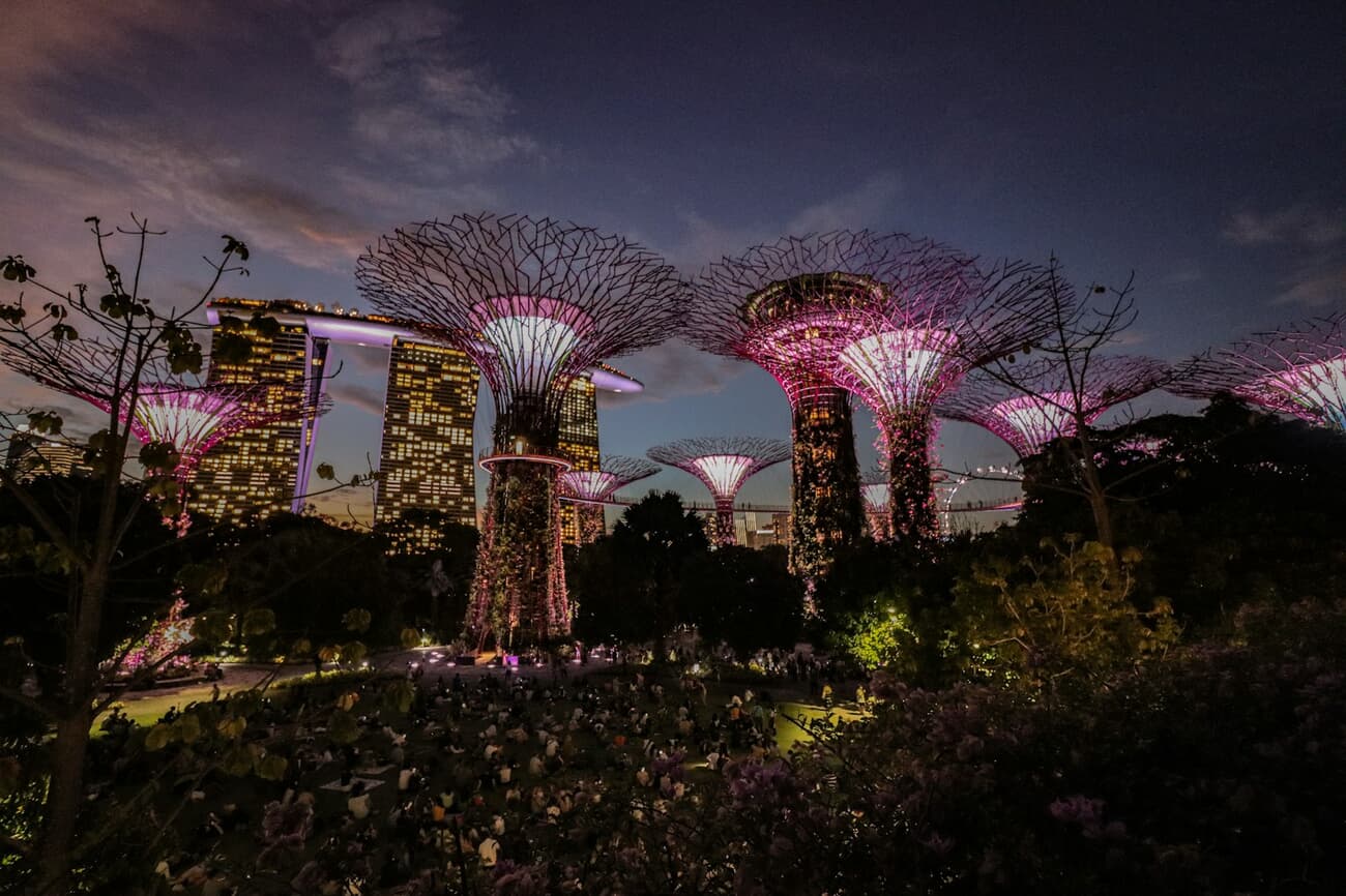 Neon Canopies Over Marina Bay: Supertrees at Dusk