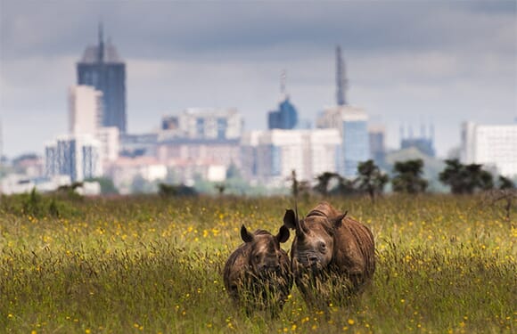 what is the capital of kenya now