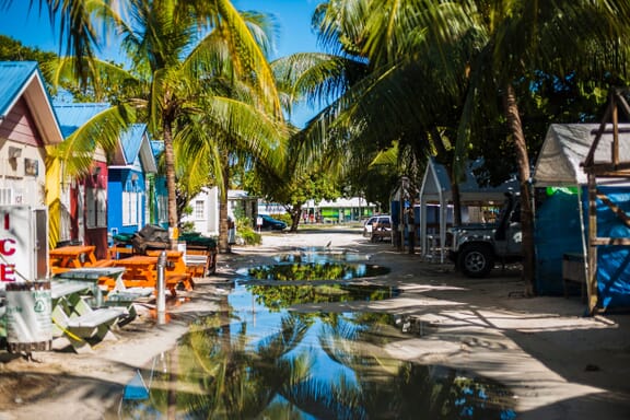 Small, colorful buildings line a small street with palm trees in Barbados. Small, colorful buildings line a small street with palm trees in Barbados.
