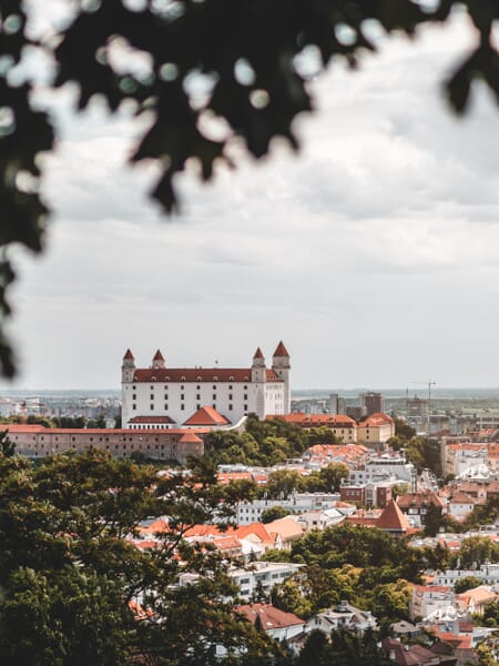 The skyline of Bratislava, the capital of Slovakia, can be seen through the trees. The skyline of Bratislava, the capital of Slovakia, can be seen through the trees.