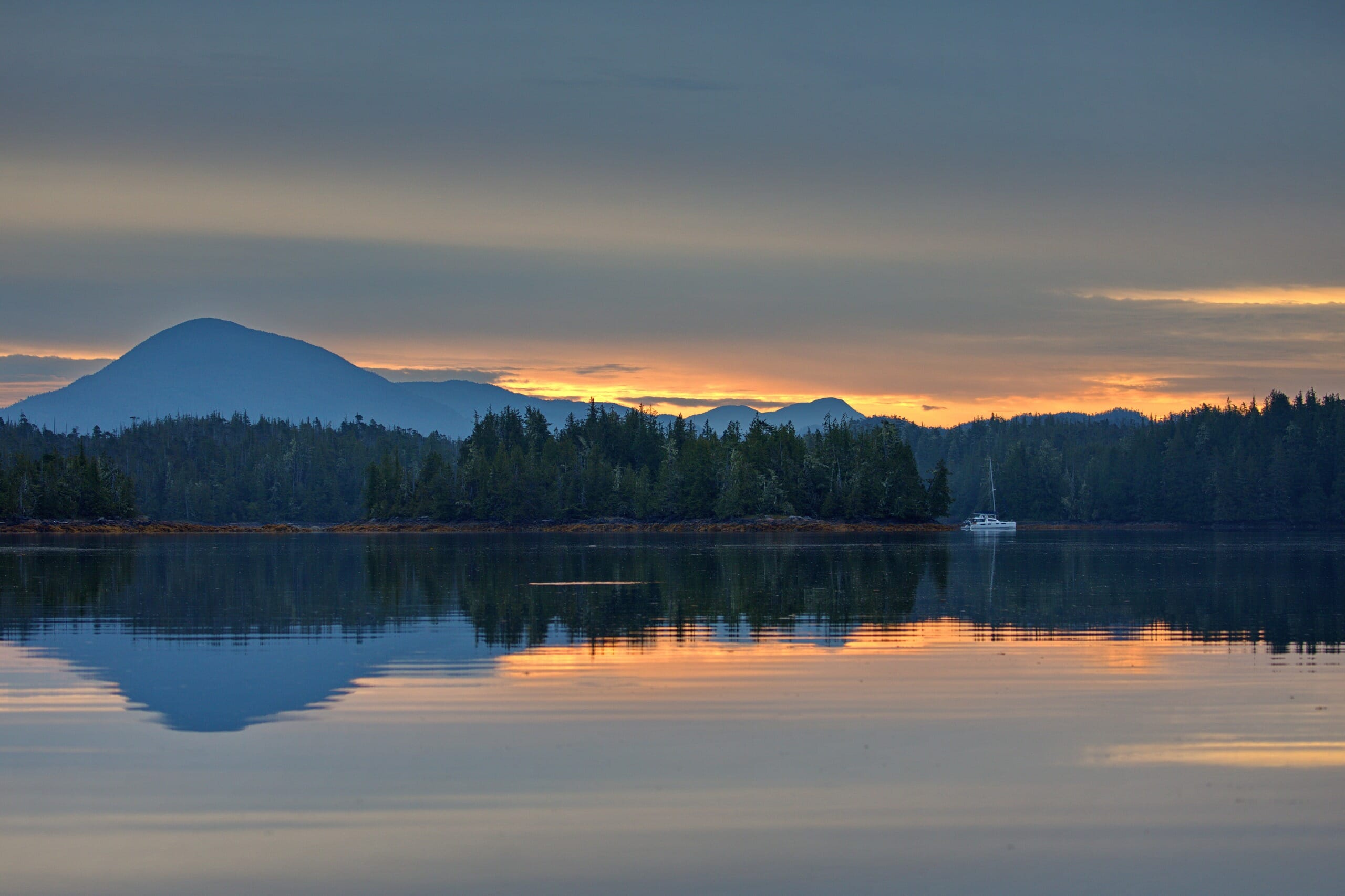 Landscape Great Bear Rainforest Canada