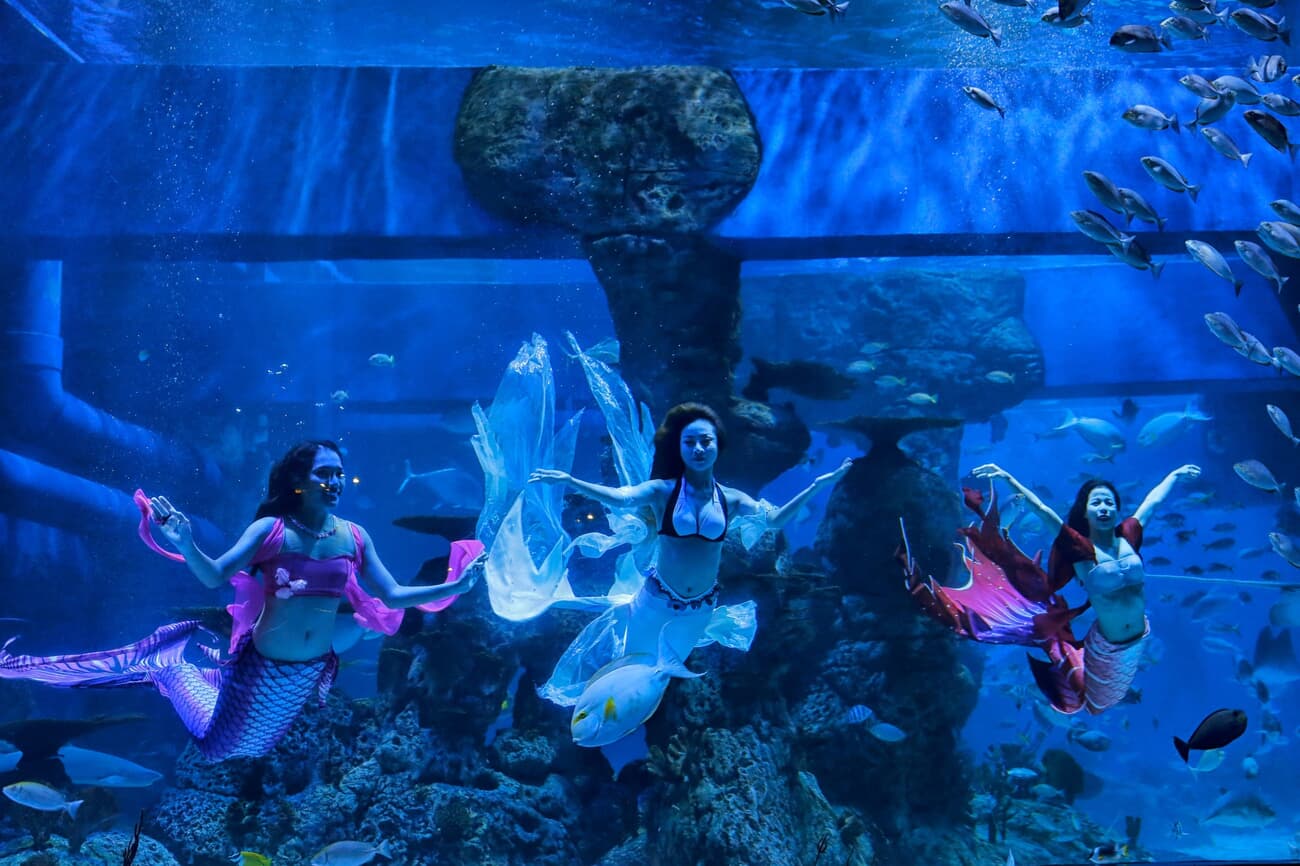 Mermaid shows at the Jakarta Aquarium &amp; Safari