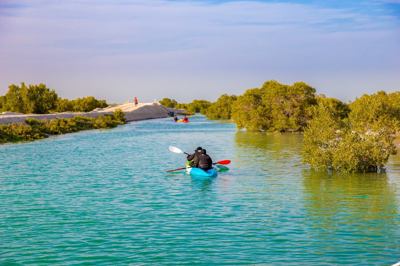 Kayak in the Jubail Mangrove Park, Abu Dhabi