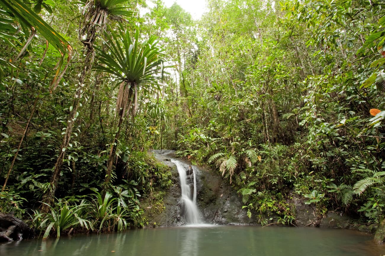 Colo-i-Suva Forest Park offers hiking trails and natural pools