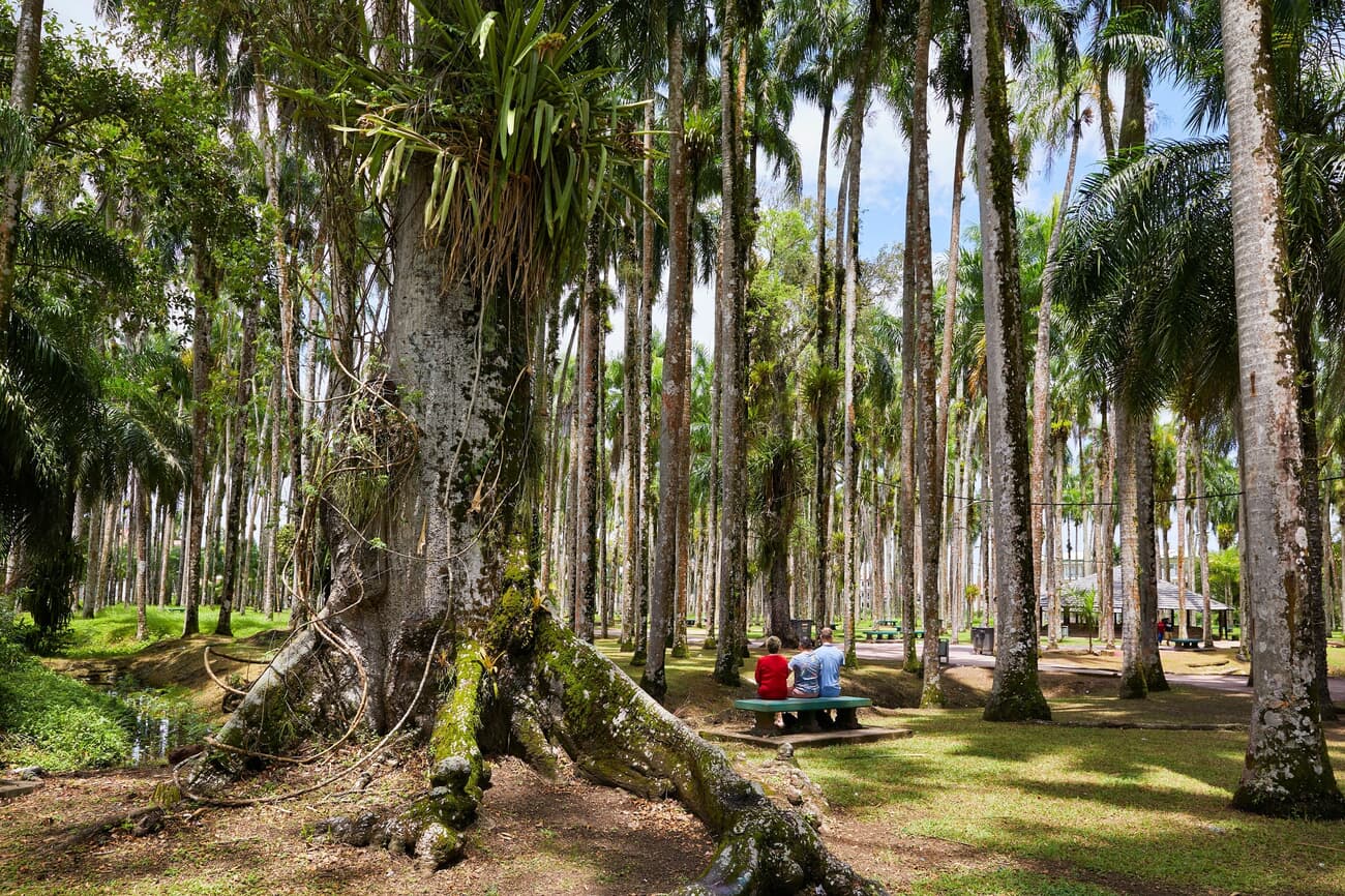The Palm Garden in Paramaribo, originally a private garden for colonial governors