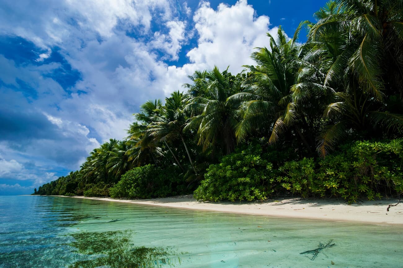 Ant Atoll, known for its crystal-clear waters and vibrant marine life