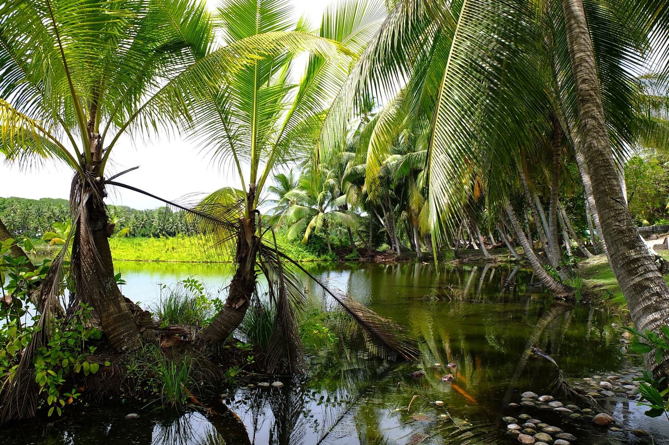 Buada Lagoon, an unexpected dimension to Nauru's primarily oceanic landscape