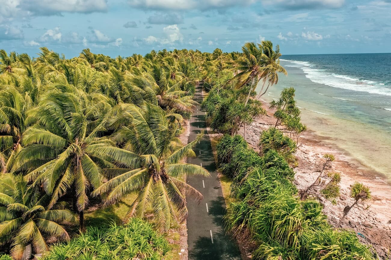 The main road in Funafuti, lined with palm trees, a testament to the island's lush vegetation