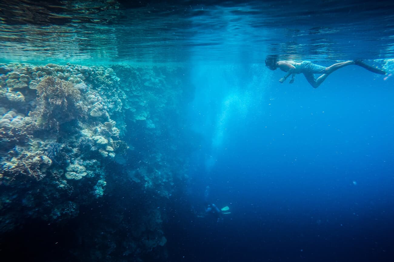 Scuba Diving in Pohnpei, one of the world's richest coral reefs