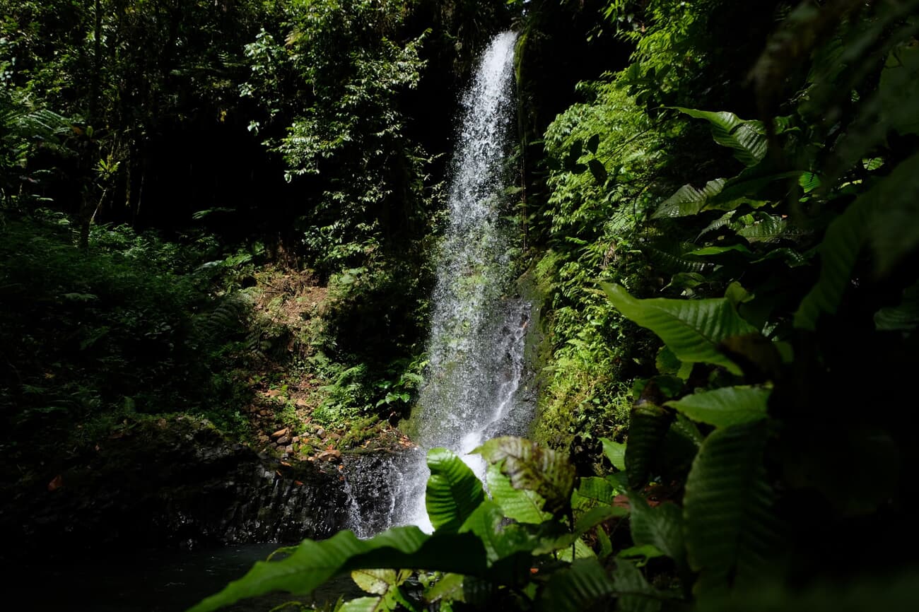 Atmospheric scenic view of waterfall hidden in the remote jungle