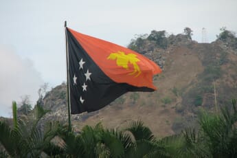 Papua new guinea flag