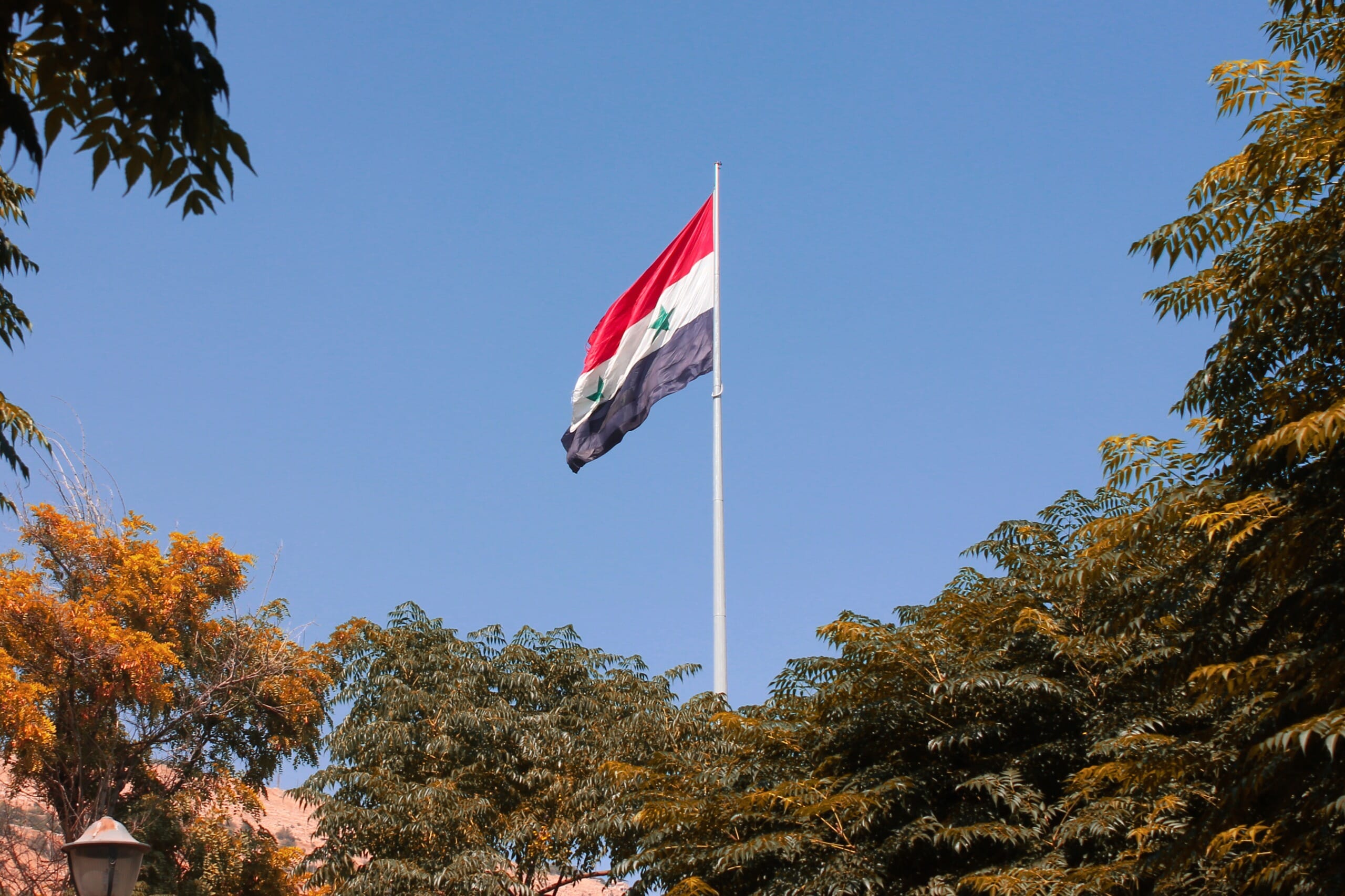 🇸🇾 Syria Flag Unveiled: Colors, Meaning, Coat of Arms, Flag Map