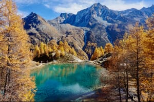 A serene mountain landscape with a clear turquoise lake surrounded by golden larch trees in autumn foliage, with rugged mountains in the background under a blue sky.