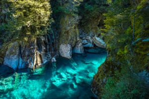 A serene forest scene with a clear, turquoise river running through rugged rocks and mossy vegetation under a canopy of dense, sun-dappled trees.