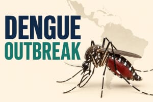 Aedes aegypti mosquito over a map of the Americas, 2026 dengue outbreak