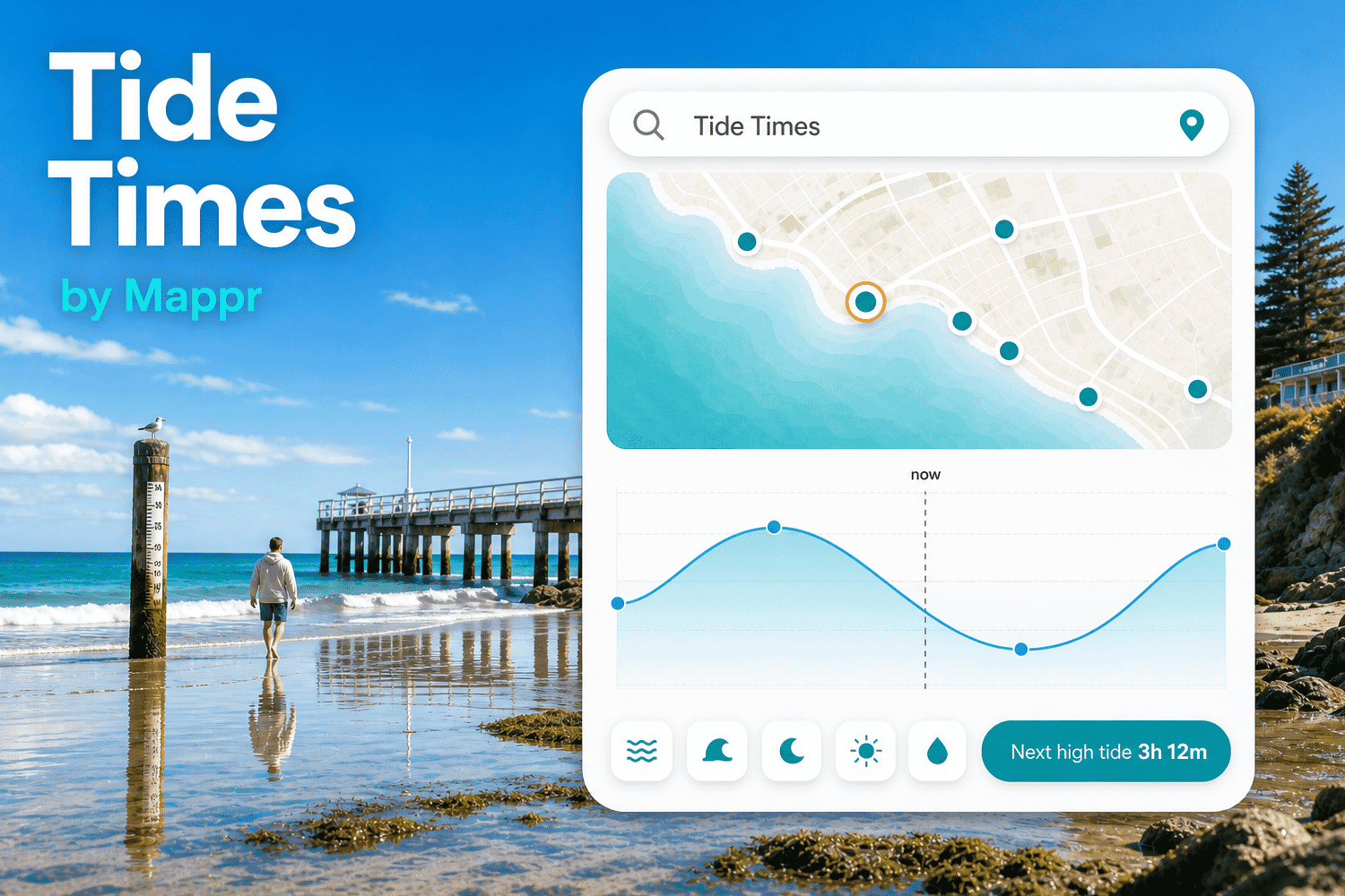 Tide Times & Tide Chart